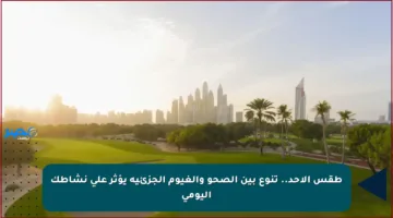 طقس الأحد.. تنوع بين الصحو والغيوم الجزئية يؤثر على نشاطك اليومي